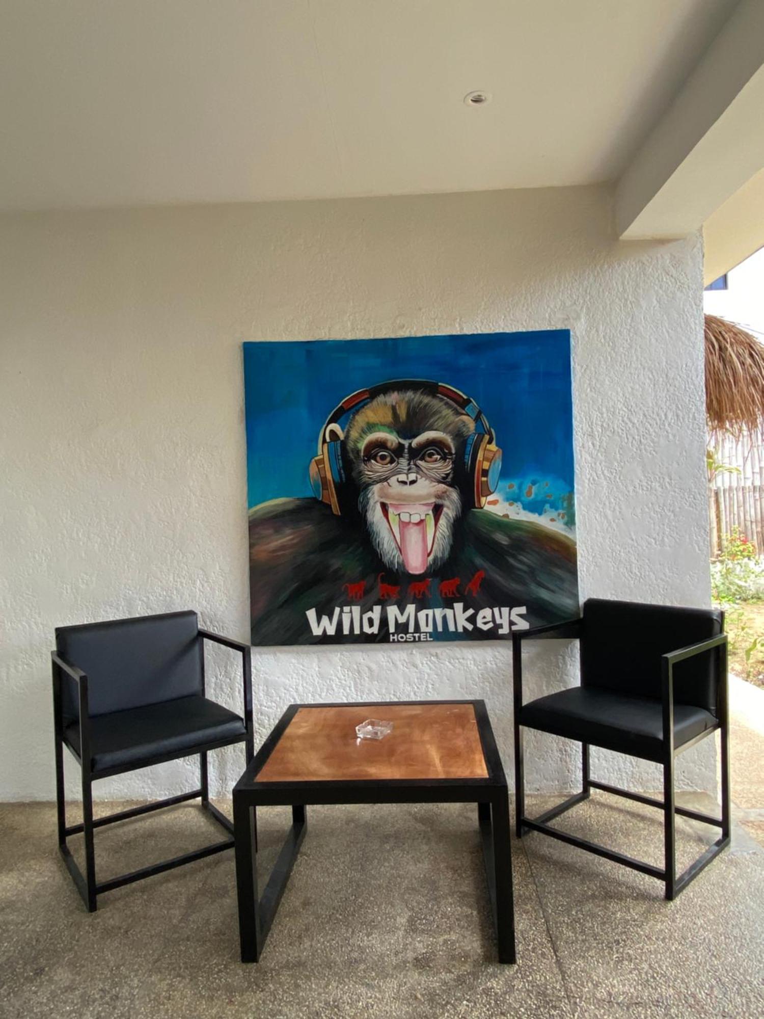 Wild Monkeys Hostel Moalboal Esterno foto